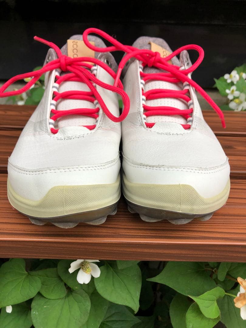 347番 美品ecco biom ゴルフシューズ38 24.0cmスパイクレス - メルカリ