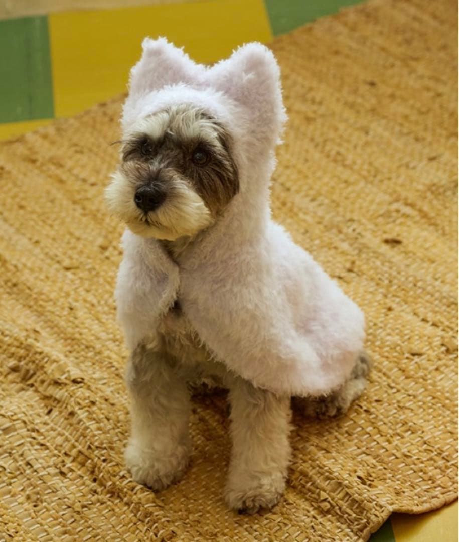 ジェラートピケ 【PIQUE MONSTER】 ケープ ラベンダーS - メルカリ