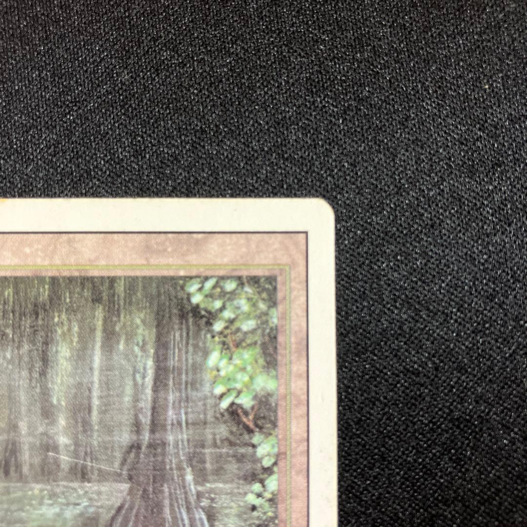 mtg Bayou 【3ED】 リバイズド 英語版 1枚 デュアルランド