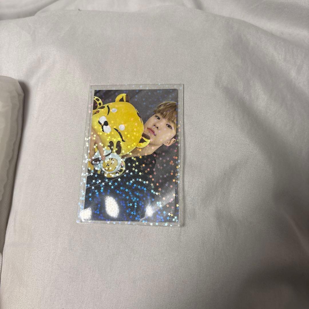 seventeen ホシ タムタム artist made ぬいぐるみ - メルカリ