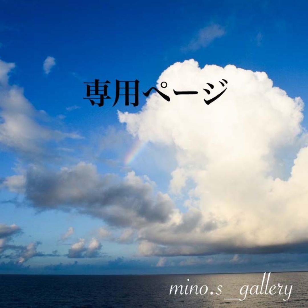 【専用】skygray様 8056597815987__002.png?imwidth=300