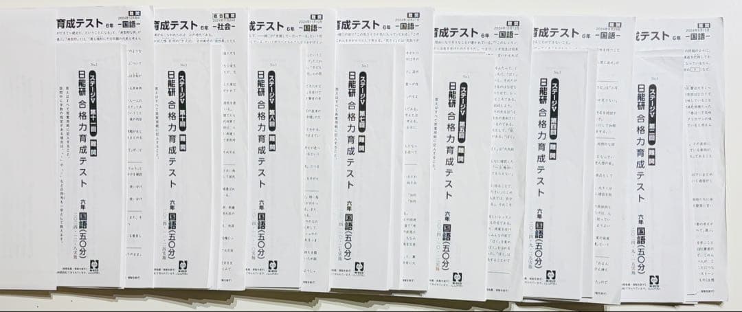日能研合格力育成テスト6後期フルセット2024年4教科 難関 最新版】2025年日能研6年 後期 合格力育成テスト 合格力実践テスト