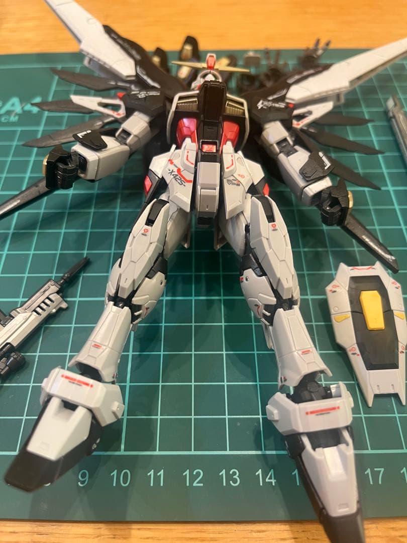 RG デスティニーガンダム全塗装完成品