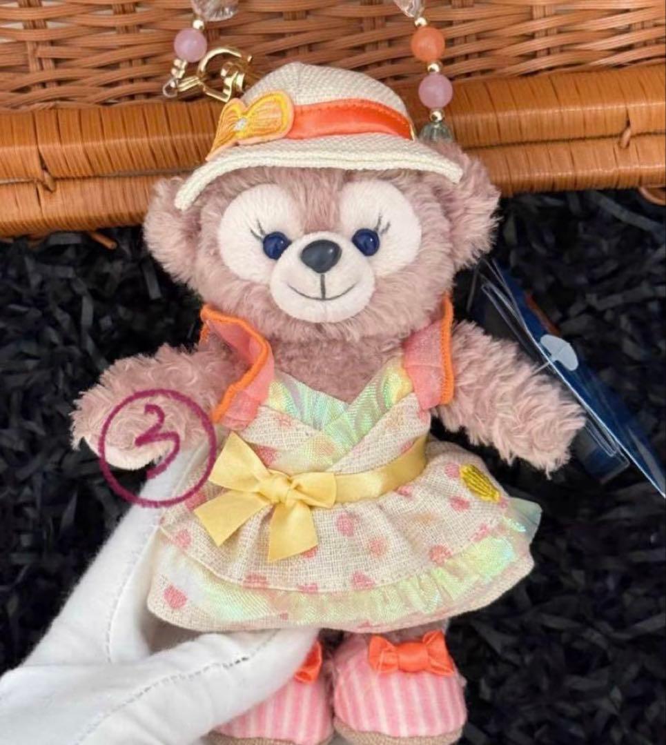 専用ページ　ぬいぐるみSS*1 キーチェーン*2