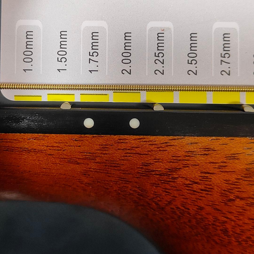 【特価】YAMAHA ヤマハ サイレントギター SLG200S 専用ケース付