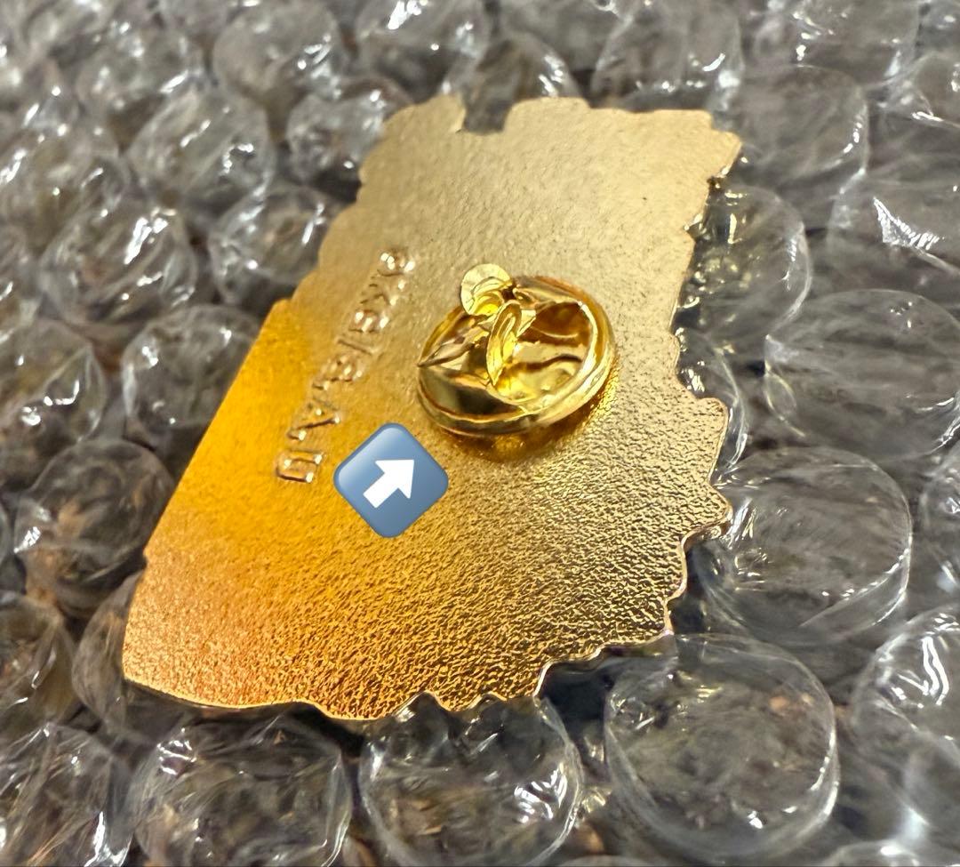 に*め様 ☆匿名配送☆【鬼滅の刃】不死川実弥を応援しています