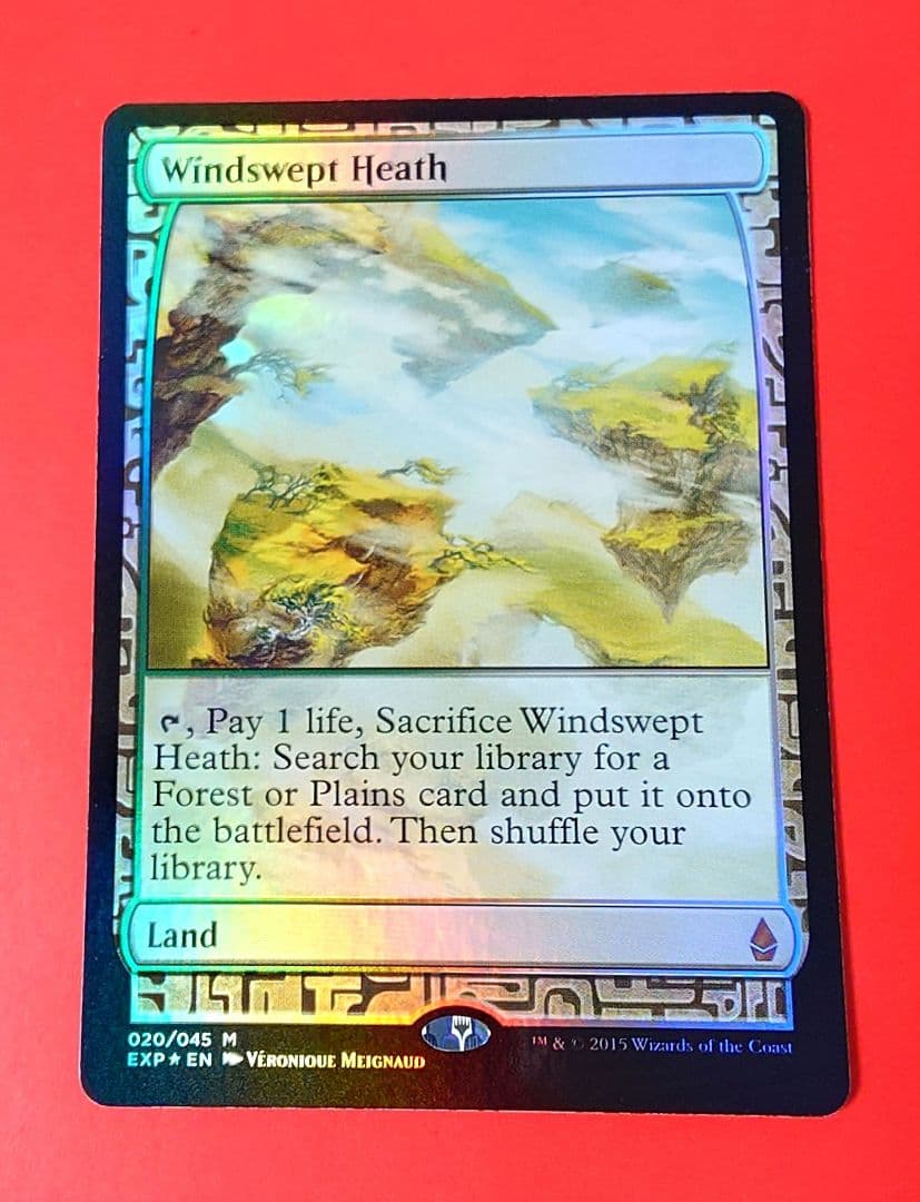 MTG 吹きさらしの荒野 Foil フォイル 英語版 MTG 吹きさらしの荒野 Foil フォイル 英語版 MTG 《吹きさらしの荒野