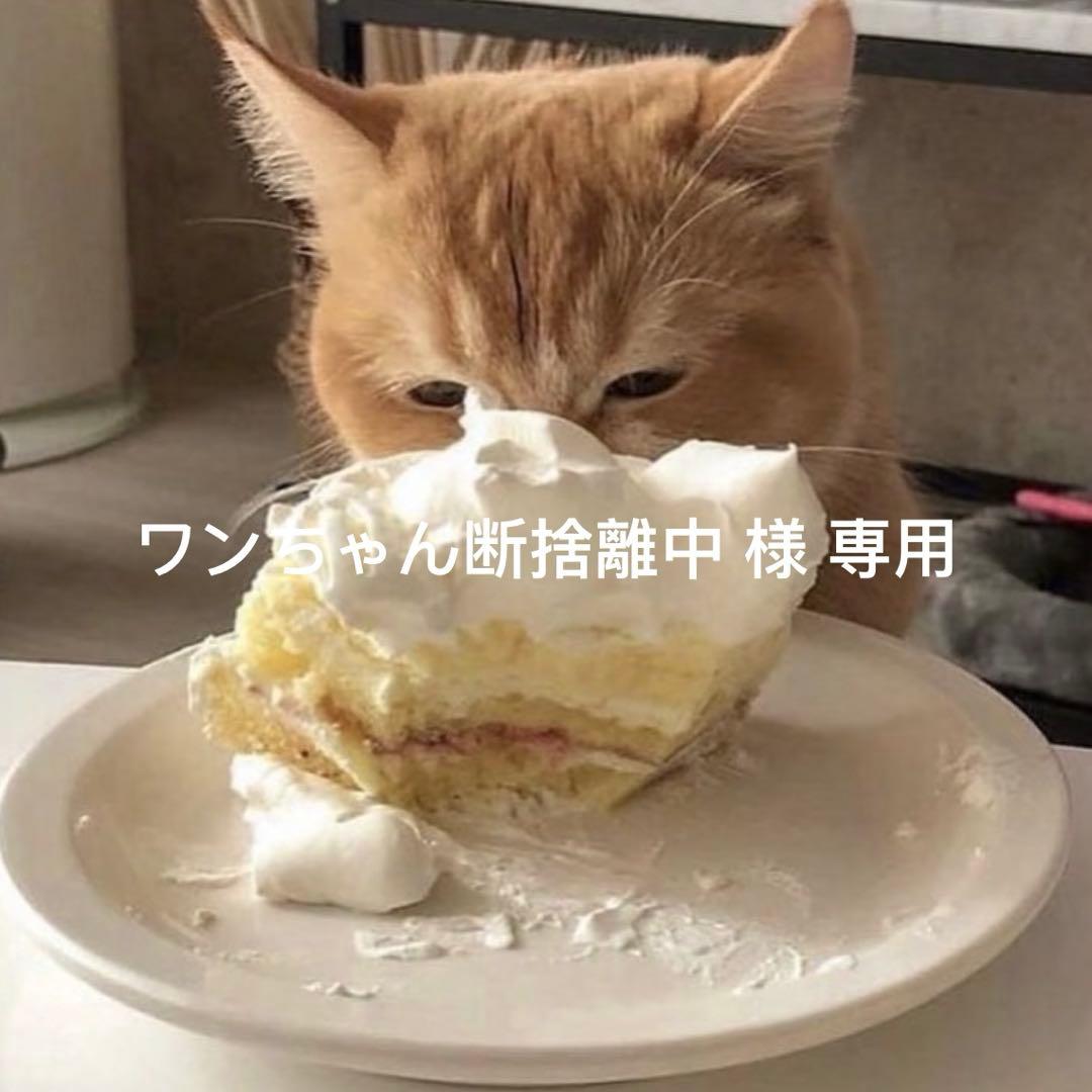 ワンちゃん断捨離中  断捨離】今・ここ・自分に集中する生き方（南前ひとみ・原田千里