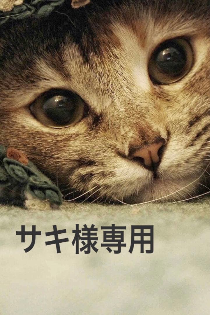 myse MS-80W-1 WHITE ミーゼ スカルプリフト 保証期間内 ミーゼ スカルプリフト プラス｜ヤーマン公式通販サイト | ヤーマン