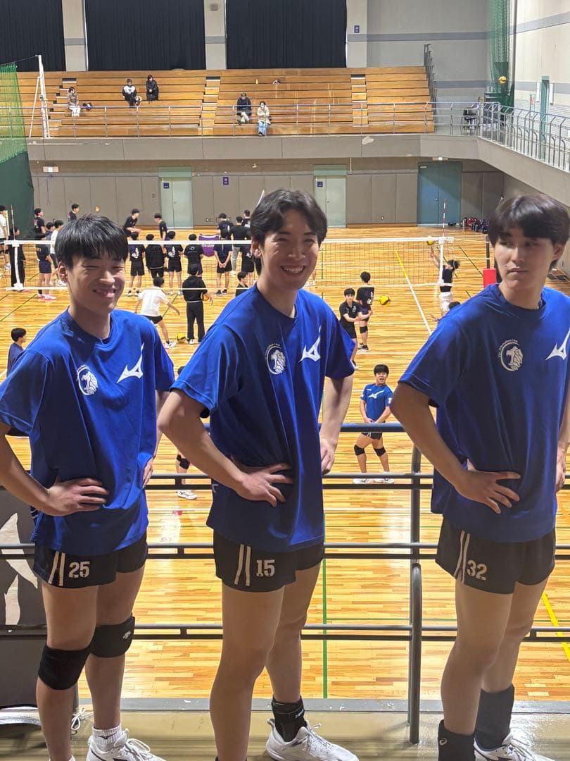 日本体育大学 バレーボール研究会 練習着 Tシャツ Lサイズ 新品未使用