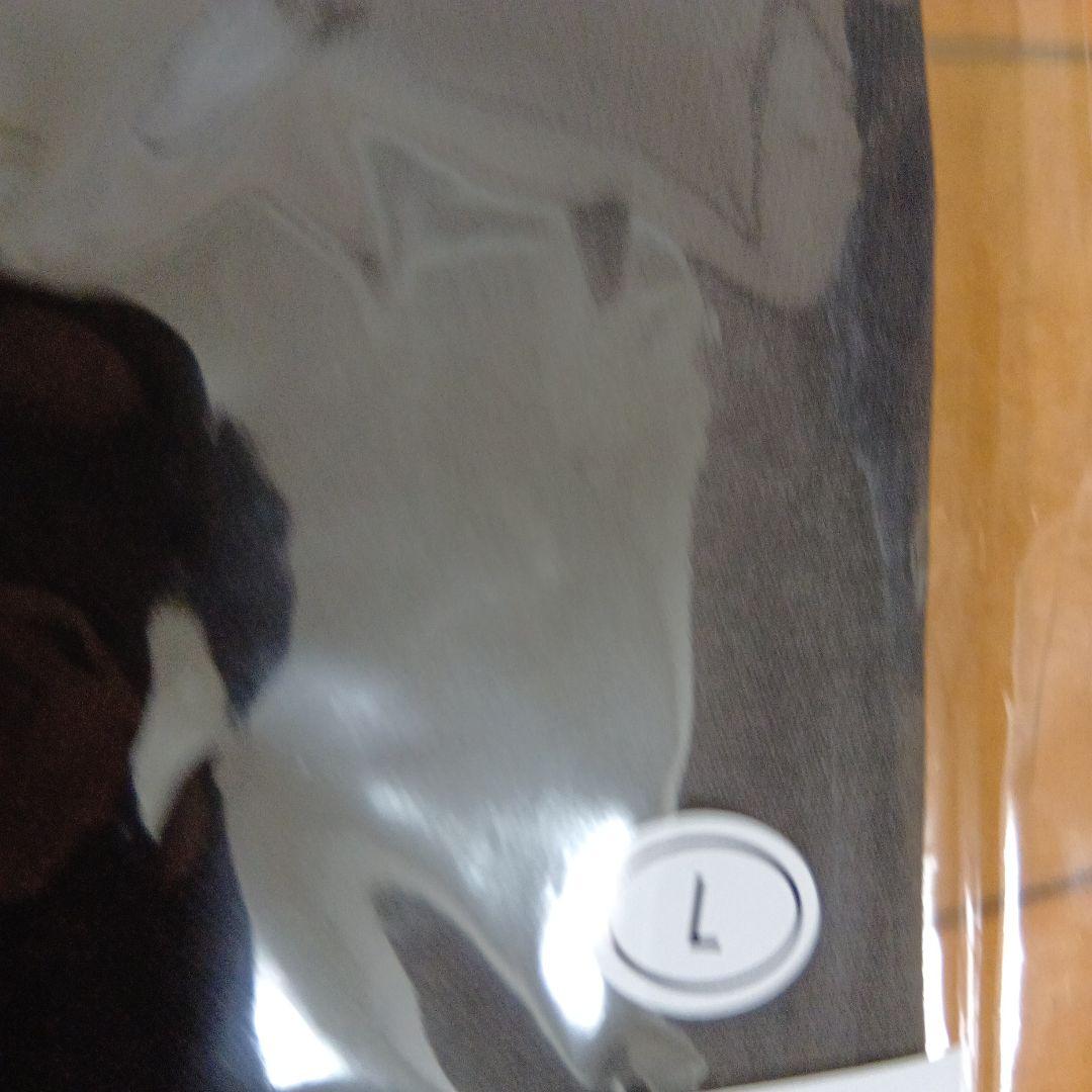 エリック・クラプトン★2025年日本武道館公演限定★ フォトＴシャツ（L）