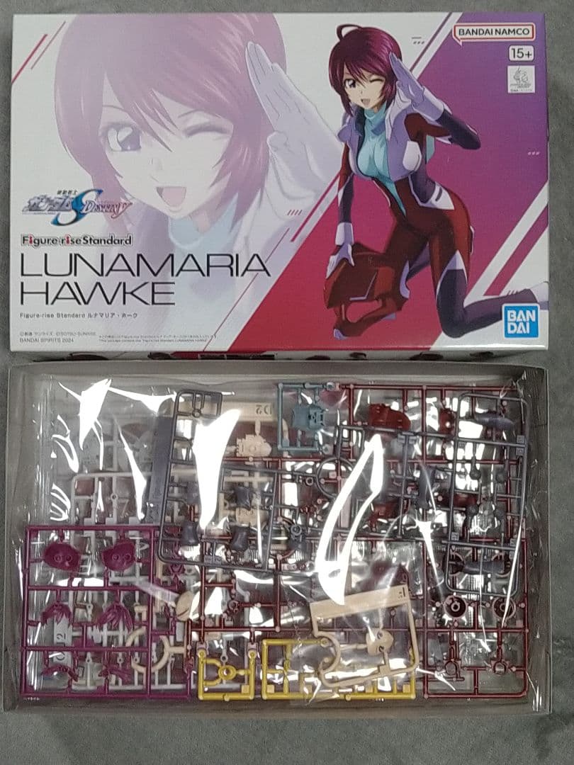 未組立 美プラまとめ売り アスナ ラクス ルナマリア プルツー 後藤ひとり