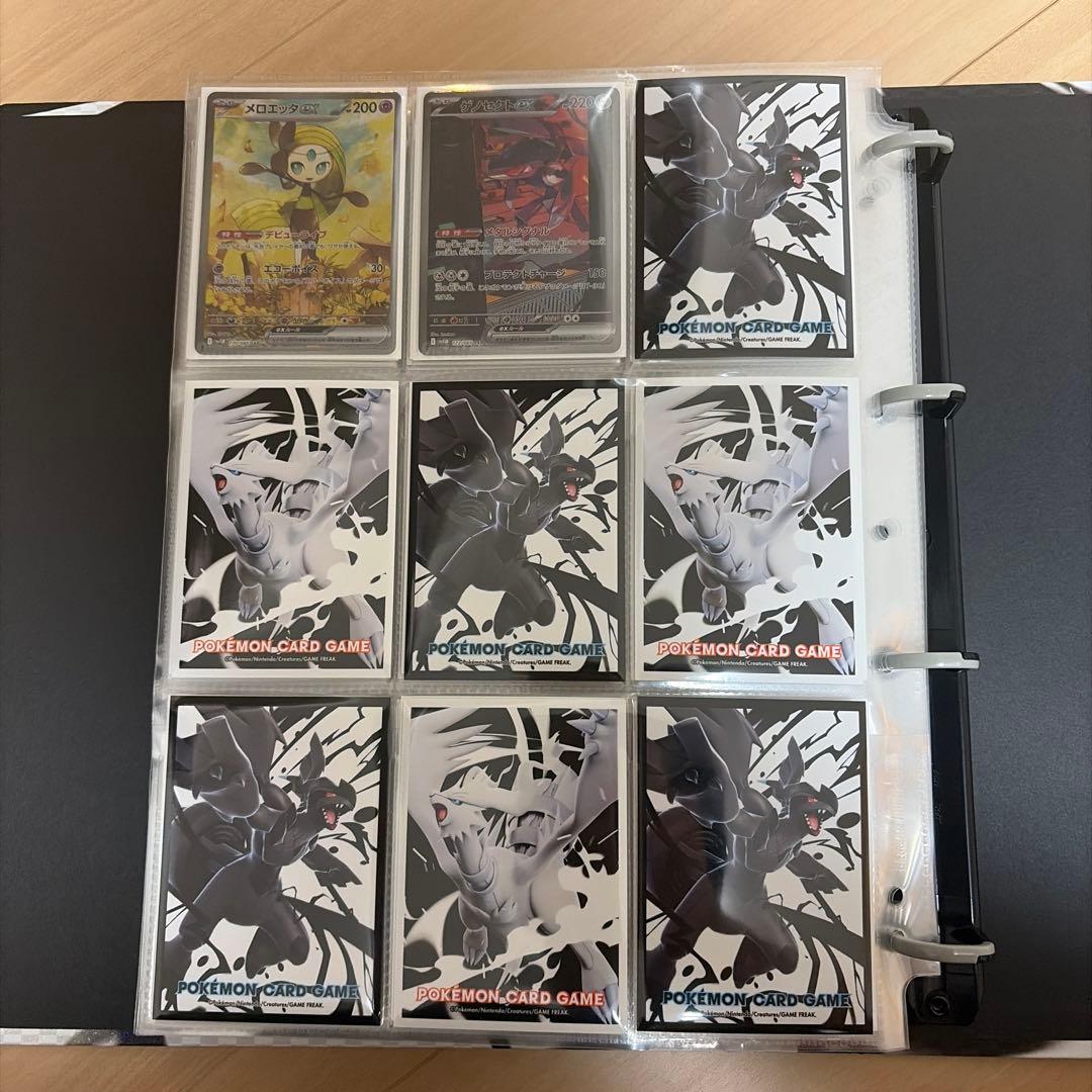 ブラックボルト ホワイトフレア AR・SAR 156種コンプリートファイル