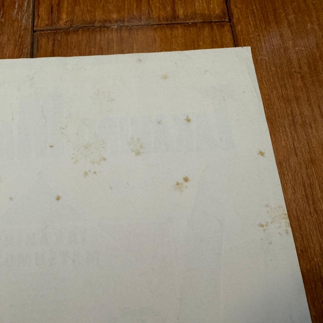 B'z結成前の松本孝弘　ソロCDのフライヤー　額付き　B5サイズ