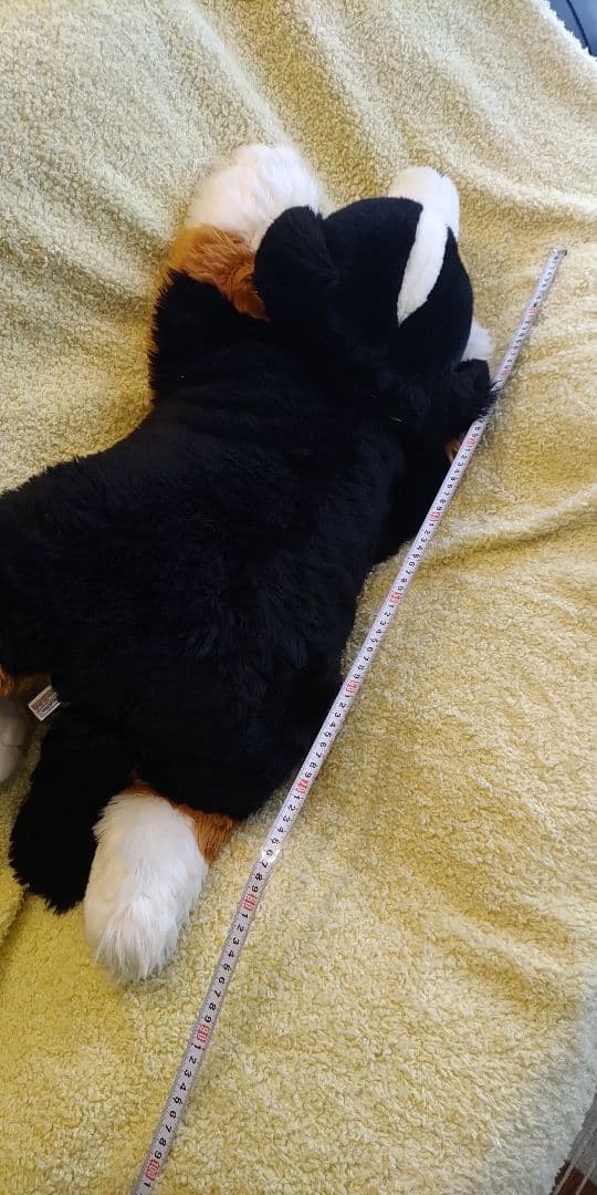 ハッピー★バーニーズマウンテンドッグ　特大ぬいぐるみ