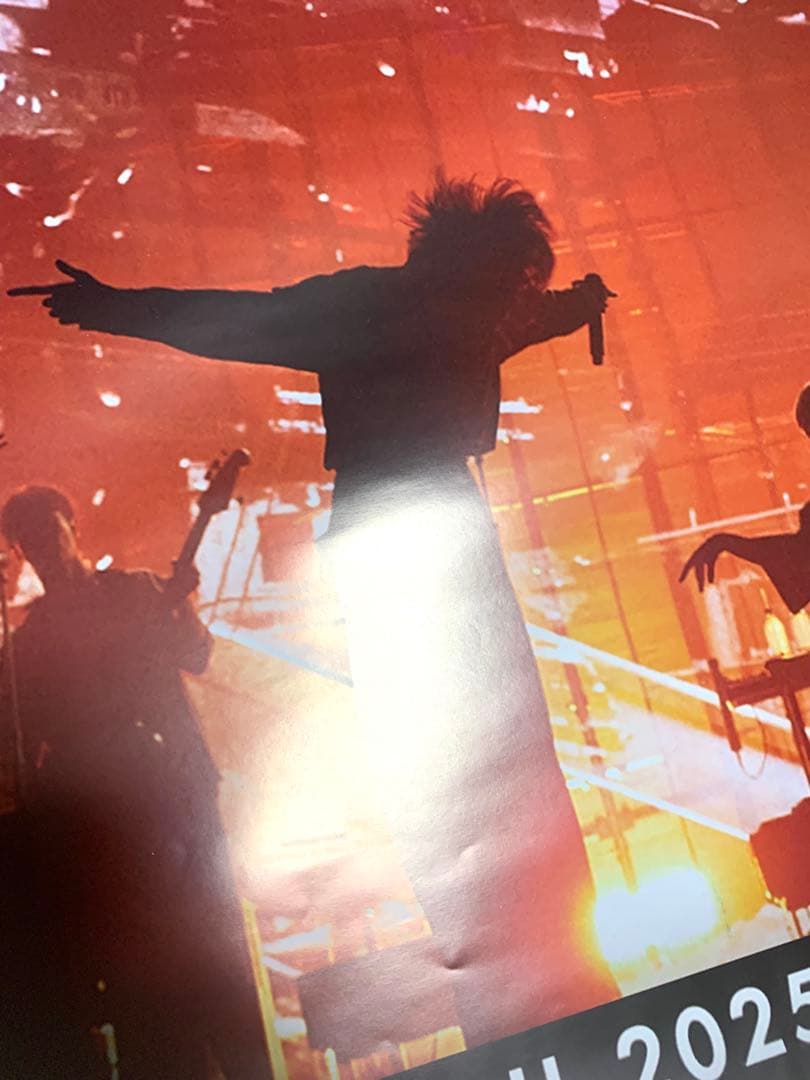 激レア 米津玄師 ポスター 2025 JUNK ワールドツアー ゼニスパリ