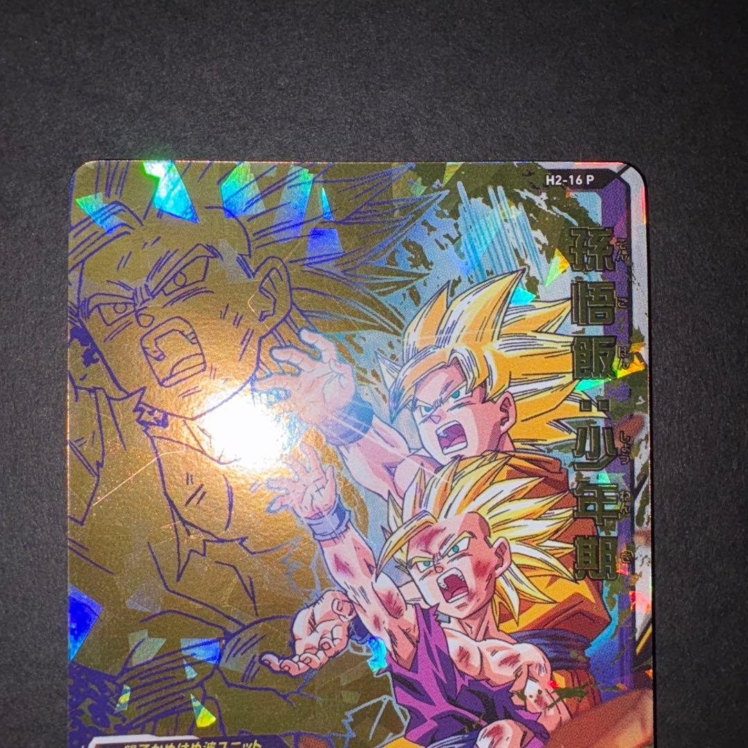 H2-16 P 孫悟飯少年期