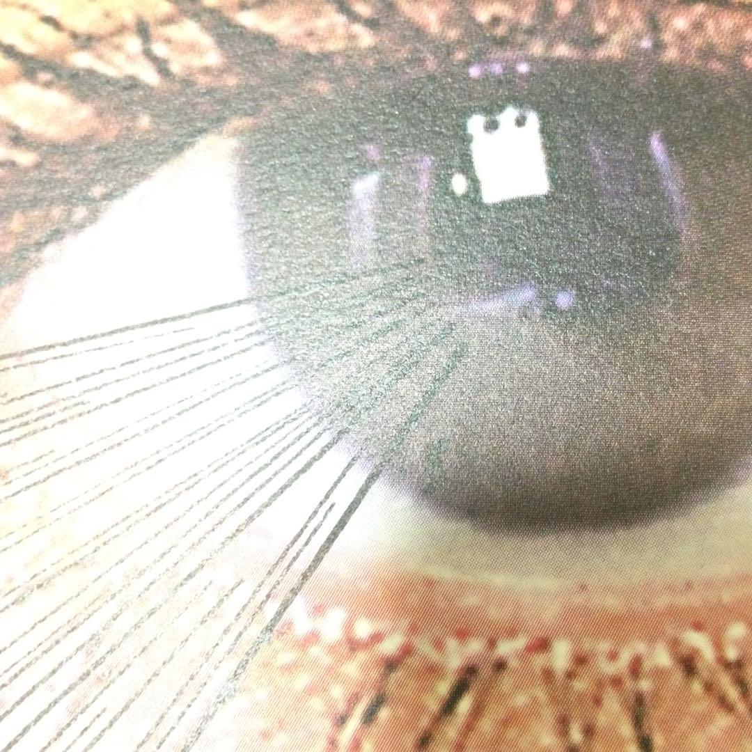 横尾忠則 デザイン 資生堂 1998年 吉川ひなの B1 ポスター （画鋲跡有）