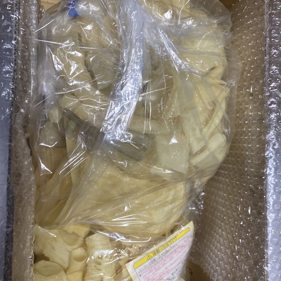 ビオランテ ソフトビニールキット 1989年