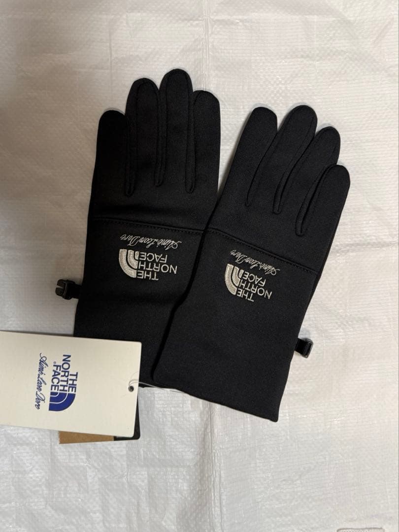 TNF × Aime Leon Dore】Etip Glove【M】イーチップ - メルカリ