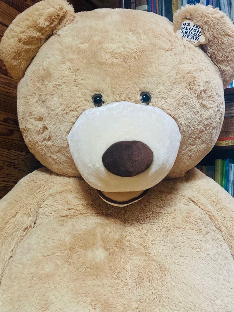 コストコ くま ぬいぐるみ COSTCO big bear 236cm