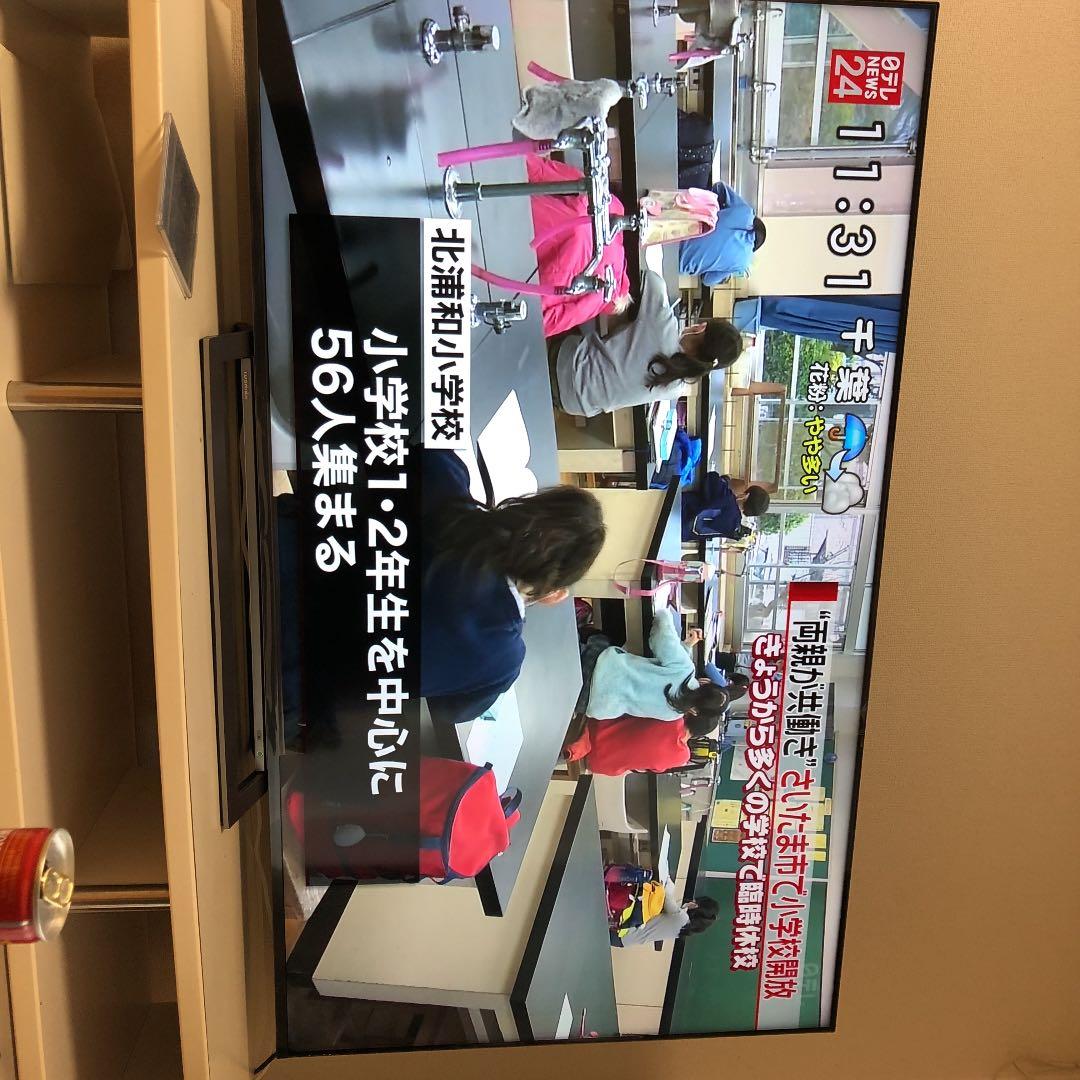 65型テレビ  TOSHIBA TOSHIBA（東芝） テレビ56型〜65型 テレビ TV レグザ REGZA 65V型