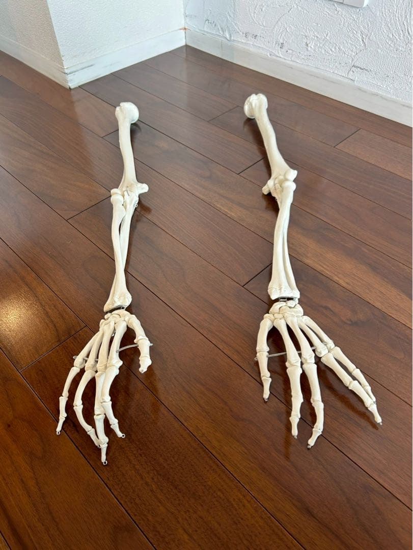 3B “スタン” 標準型骨格モデル A10 美品