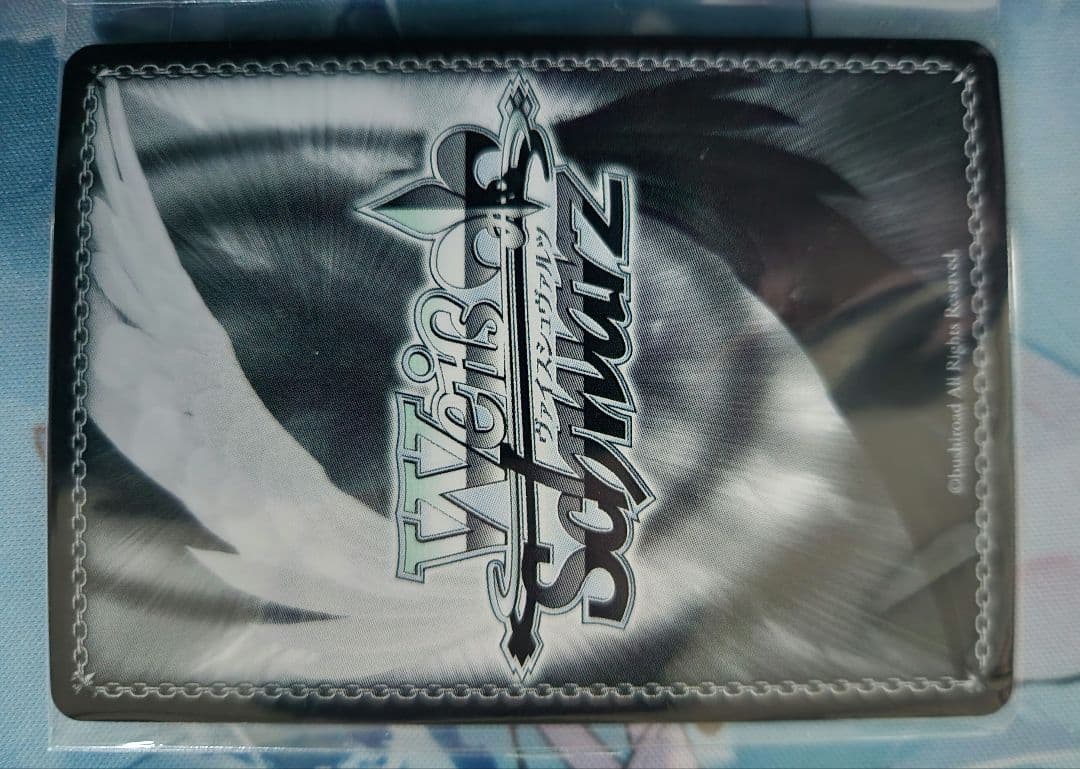 ハードボイルドなアウトロー集団 CXチャレンジ 優勝 ヴァイスシュヴァルツ