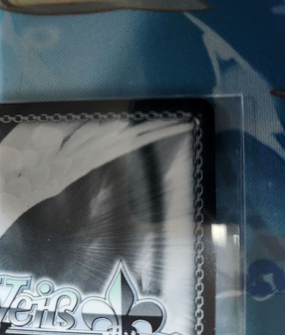 ハードボイルドなアウトロー集団 CXチャレンジ 優勝 ヴァイスシュヴァルツ