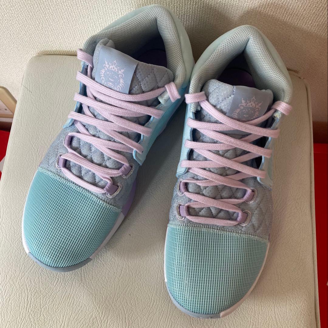 《即日発送》NIKE LEBRON WITNESS VIII EP