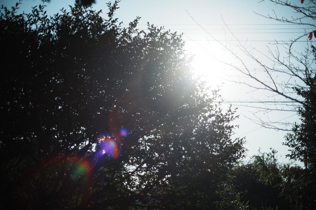 バブルボケ】動作◎ ミノルタ New MD 50mm F1.4 953 - メルカリ