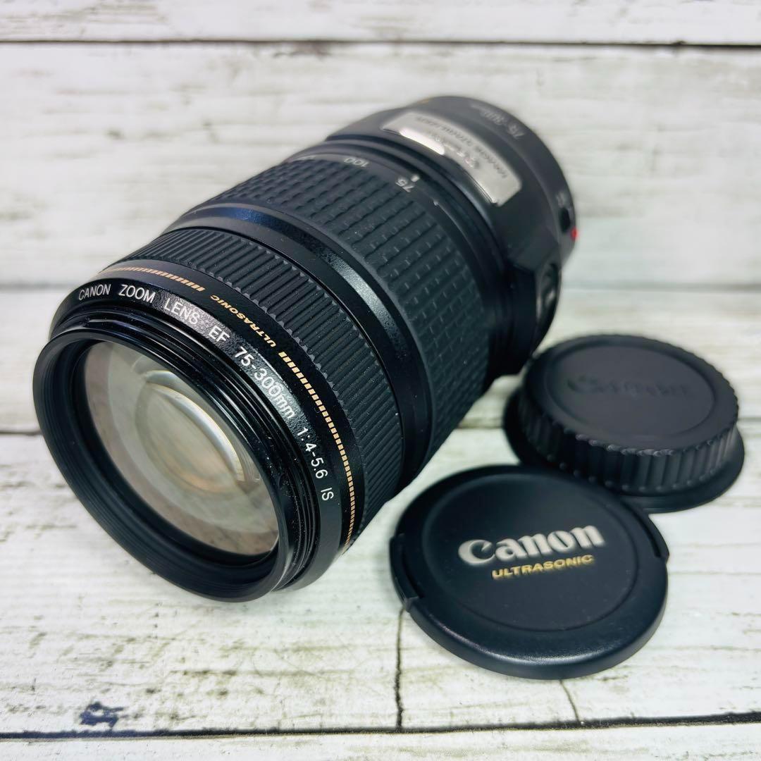 【動作良好】Canon EF 75-300mm F4-5.6 IS USM $_12.JPG?set_id=880000500F