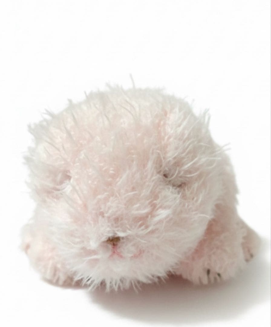 上野動物園　ジャイアントパンダ　ぬいぐるみ　シャンシャン　4体