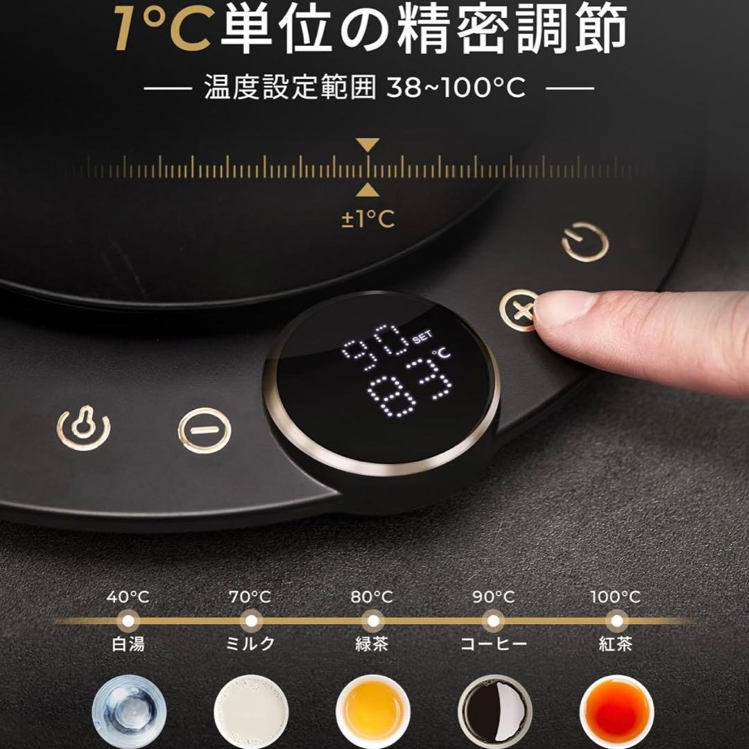 GW特化Epeios（エペイオス）電気ケトル 0.9L｜1℃単位で温度調整ケトル