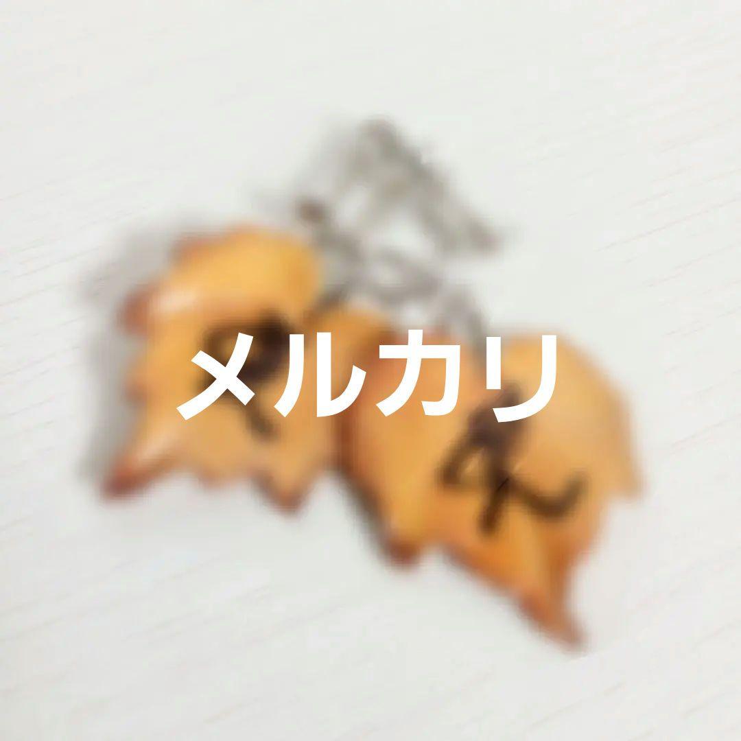 Kagrra CROW 一志 ネックレス イヤリング