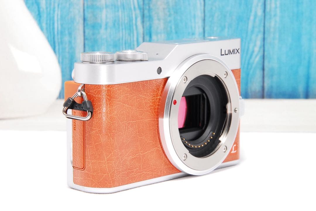 ショット数611回】LUMIX GF9 SNS Wi-Fi チルト ミラーレス - メルカリ