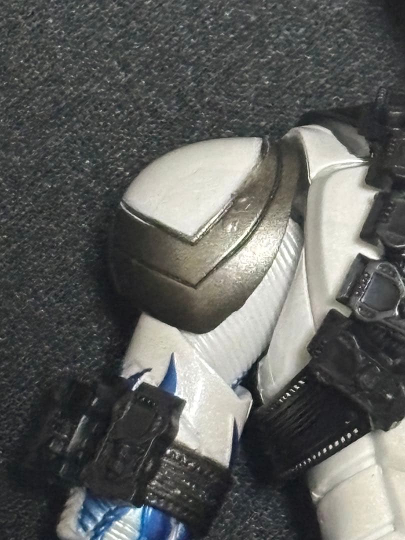 S.H.Figuarts （真骨彫製法）仮面ライダーエターナル