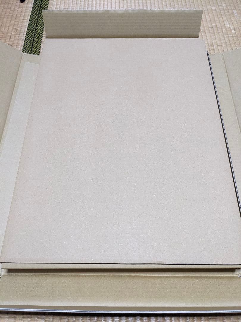 【未開封】FINAL FANTASY VII REBIRTH　エアリス　複製原画