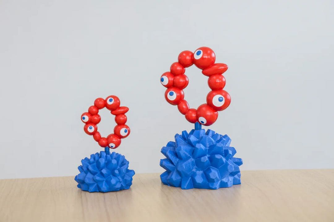 フルセット LOBINDON ×ミャクミャク グラキリス 亀甲竜 expo 塊根