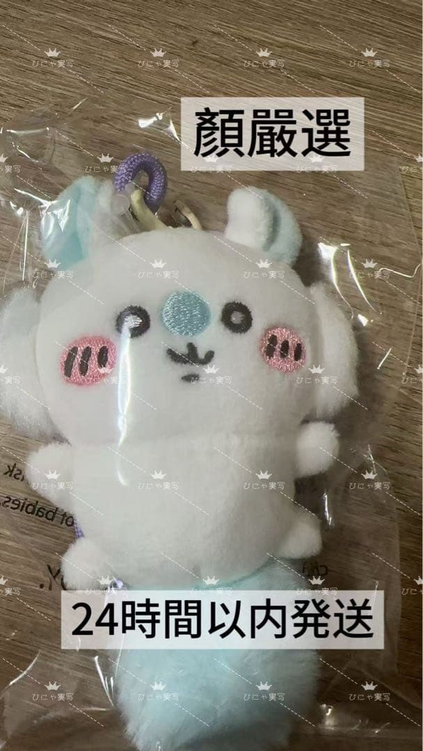 心來xoxo專用link モモンガ