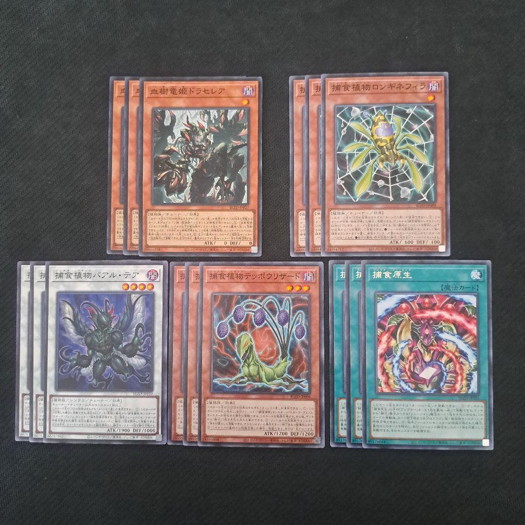 遊戯王 捕食植物 デッキパーツ 各3枚セット ② - メルカリ