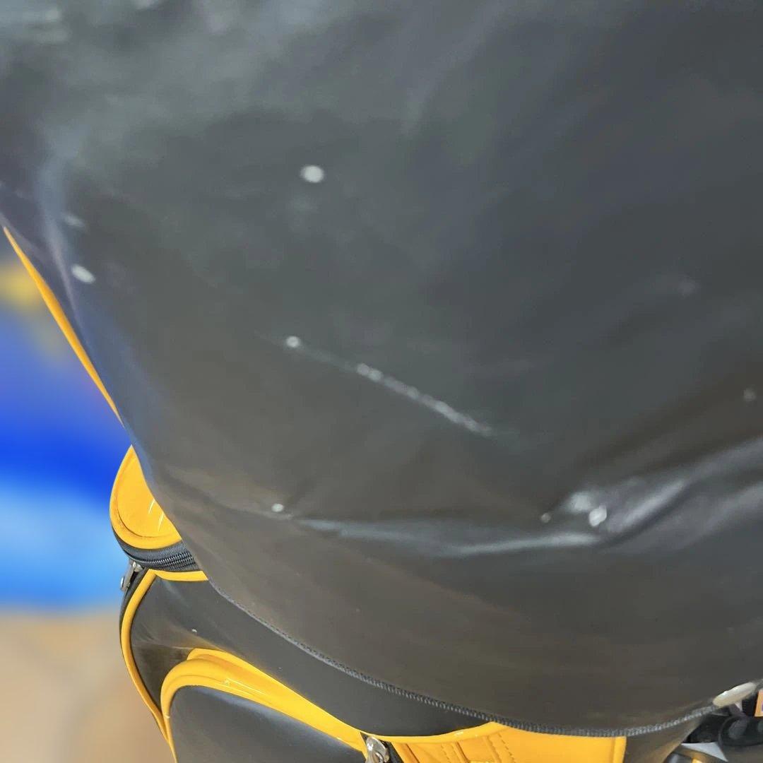 寶BTー 1038キャディバッグ WORLD EAGLE 3.6kg 23cm