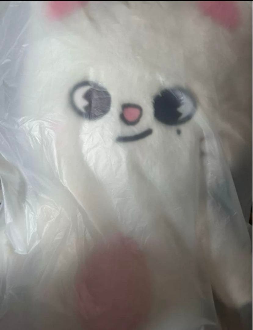 新品】StrayKids SKZOO ヒョンジン ジニレット テディベア - メルカリ