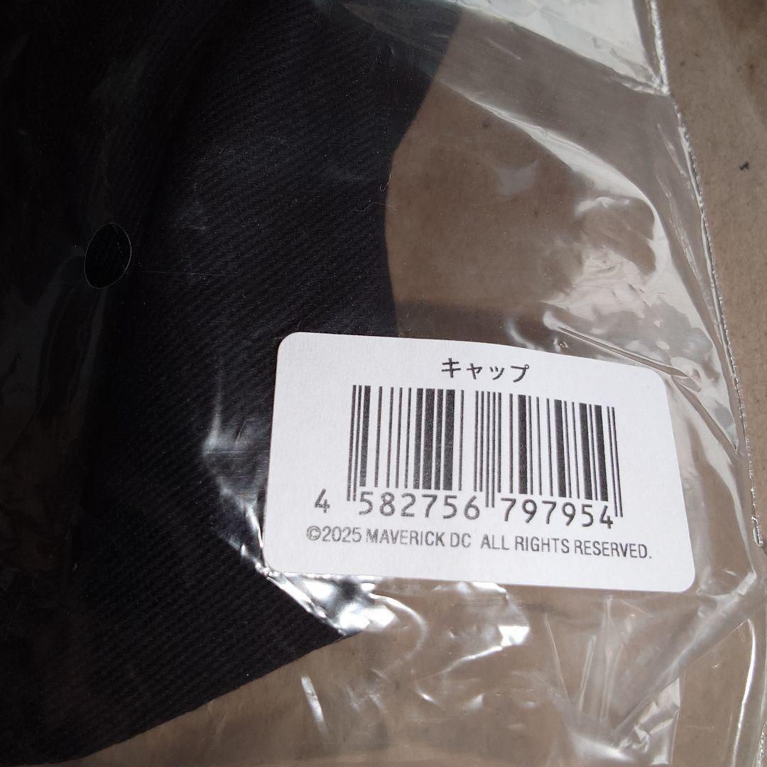 L'Arc～en～Ciel キャップ 2025 LIVE ラルク HYDE