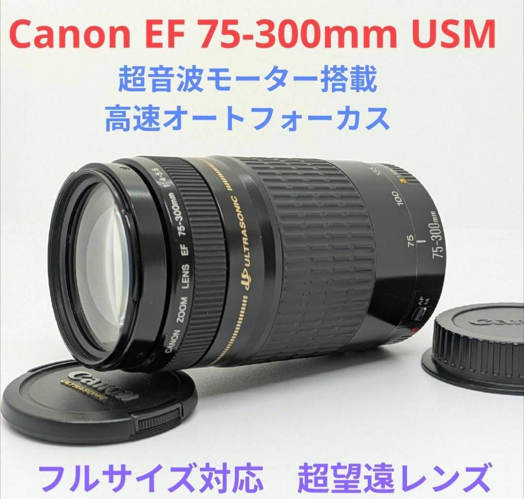 超音波モーター搭載【超望遠レンズ】Canon EF 75-300mm USM EF75-300mm F4-5.6 III USM - キヤノンカメラミュージアム