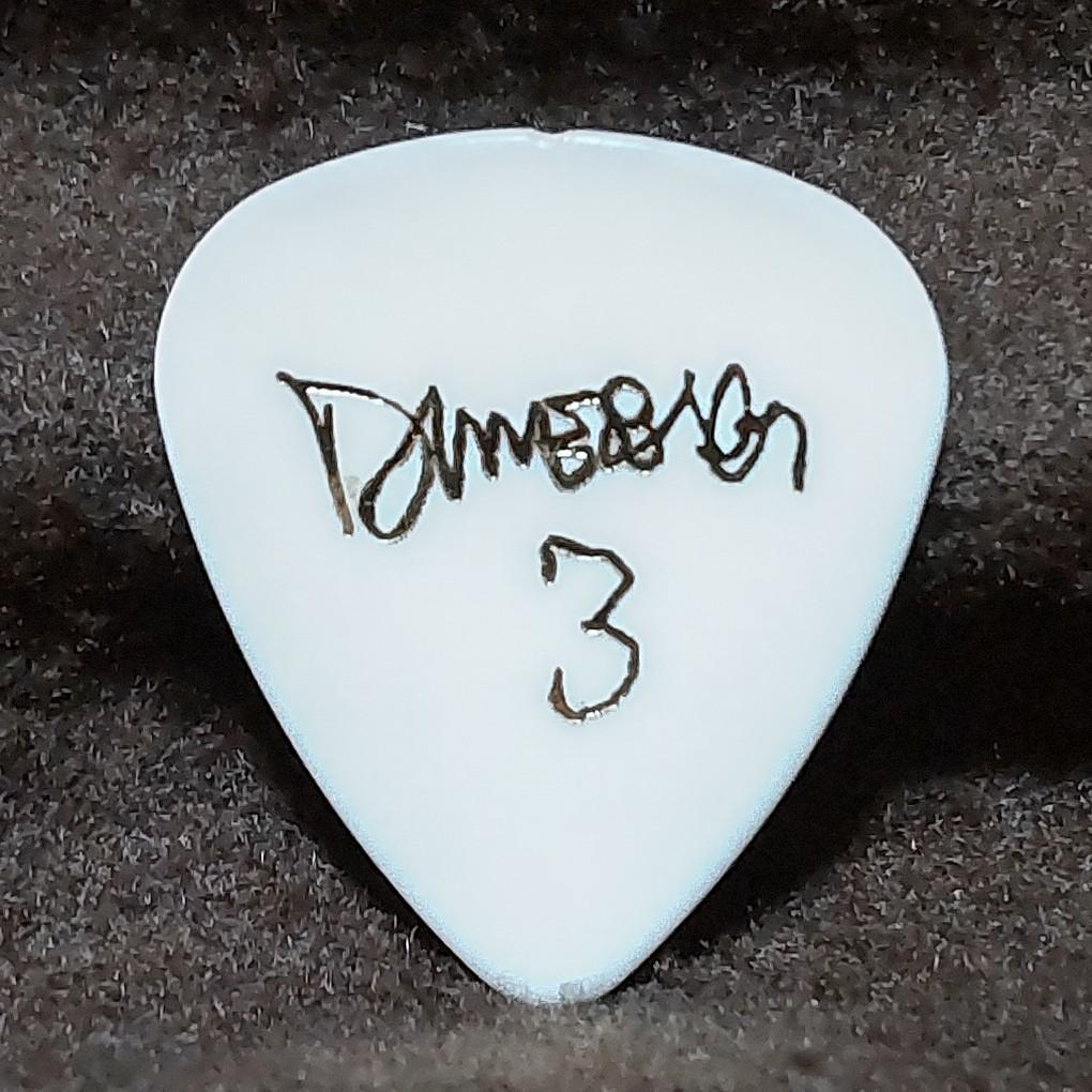 Dimebag Darrell ギターピック