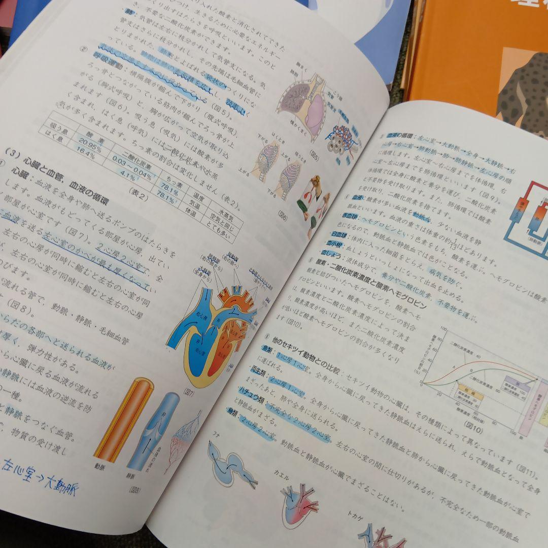 四谷大塚6年予習 演習上/漢字上下/国算最難関上 中古 2024年版 - メルカリ
