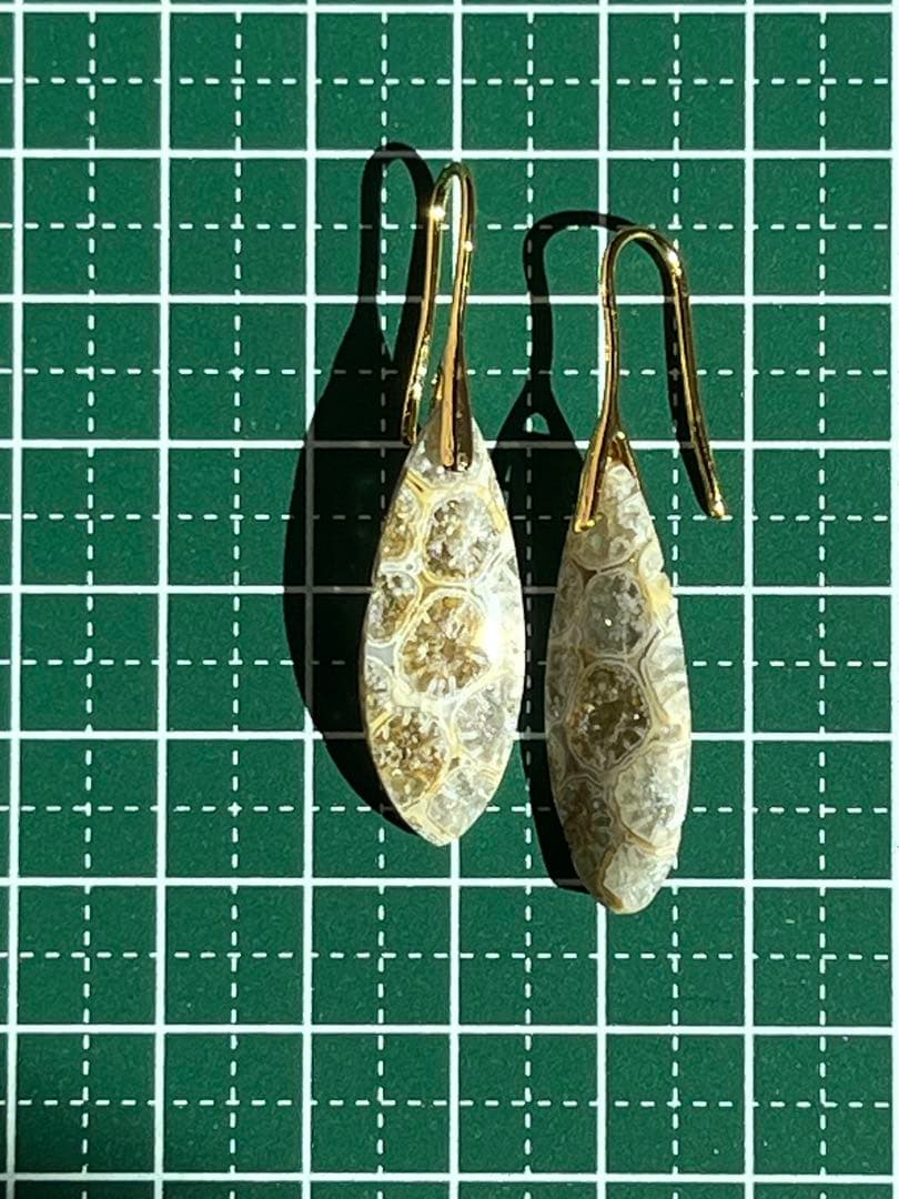 COCO＊＊様専用 14kgf フォッシルコーラル ピアス - メルカリ