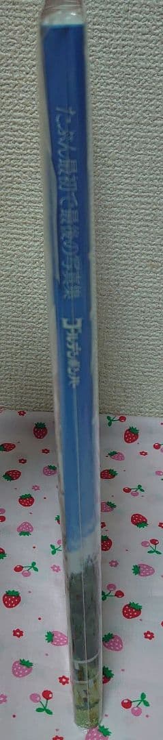 ゴールデンボンバー 20周年アニバーサリー写真集 「たぶん最初で最後の写真集」