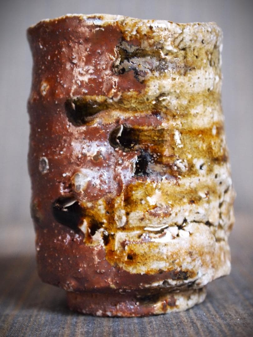 新作★迫能弘【師：辻清明】★赤信楽《窯変》酒器★ビードロ